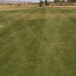 Susanville Golf Course - Susanville