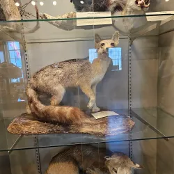 Tehachapi Heritage League - Tehachapi