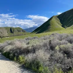 Wind Wolves Preserve - Tehachapi