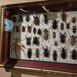 Pennypickle's Workshop - Temecula Children's Museum - Temecula