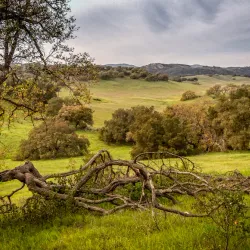Santa Rosa Plateau Ecological Reserve - Temecula