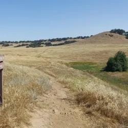 Santa Rosa Plateau Ecological Reserve - Temecula