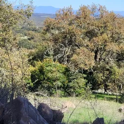 Santa Rosa Plateau Ecological Reserve - Temecula
