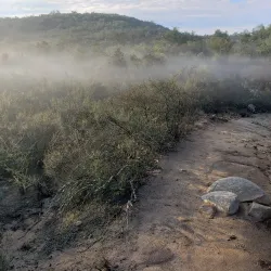 Santa Rosa Plateau Ecological Reserve - Temecula