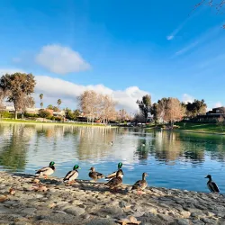 Temecula Duck Pond Park - Temecula