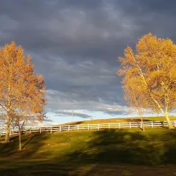 Temecula Duck Pond Park - Temecula