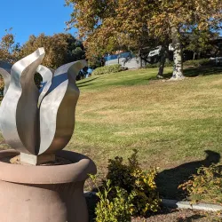 Temecula Duck Pond Park - Temecula