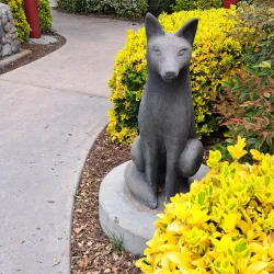 Temecula Duck Pond Park - Temecula