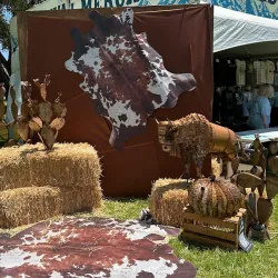 Temecula Valley Balloon & Wine Festival - Temecula