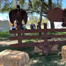 Temecula Valley Balloon & Wine Festival - Temecula