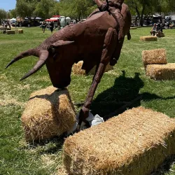 Temecula Valley Balloon & Wine Festival - Temecula