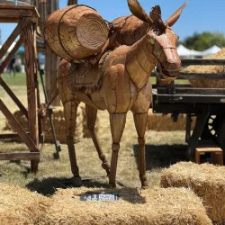 Temecula Valley Balloon & Wine Festival - Temecula