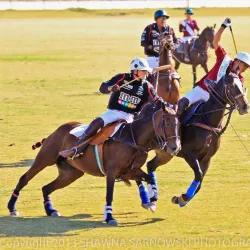Temecula Valley Polo Club - Temecula