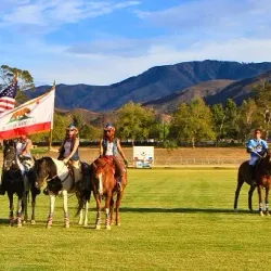 Temecula Valley Polo Club - Temecula