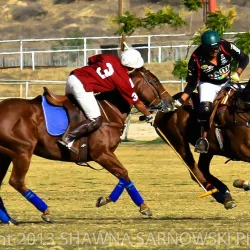 Temecula Valley Polo Club - Temecula