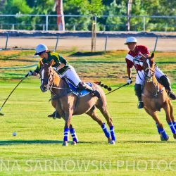 Temecula Valley Polo Club - Temecula