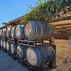 Temecula Valley Wine Country - Temecula