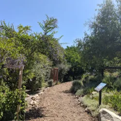 Conejo Valley Botanic Garden - Thousand Oaks
