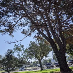 Columbia Park - Torrance