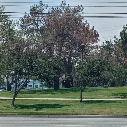 Columbia Park - Torrance