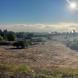 Hesse Park - Torrance