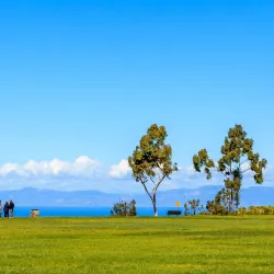 Hesse Park - Torrance