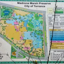 Madrona Marsh Preserve - Torrance