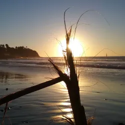 Torrance Beach - Torrance