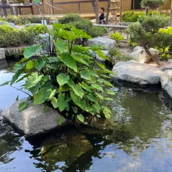 Torrance Cultural Arts Center - Torrance