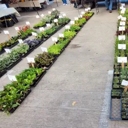 Torrance Farmers Market - Torrance