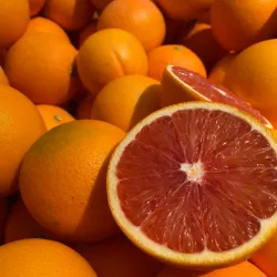 Torrance Farmers Market - Torrance