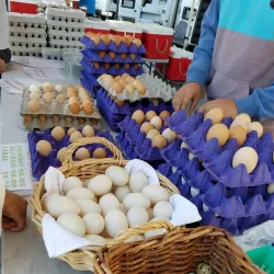 Torrance Farmers Market - Torrance
