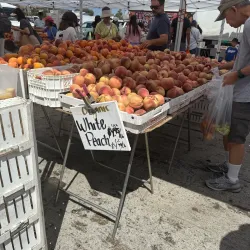 Torrance Farmers Market - Torrance