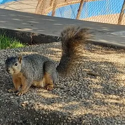 Wilson Park - Torrance