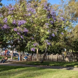 Wilson Park - Torrance