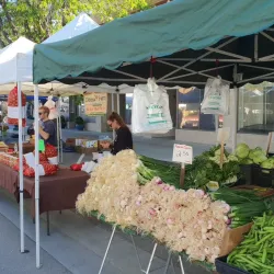 Tracy Farmers Market - Tracy