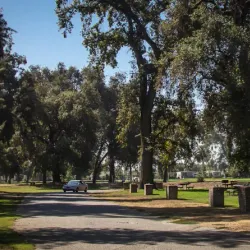 Mooney Grove Park - Tulare