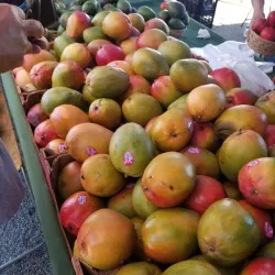 Tulare Farmers Market - Tulare