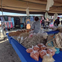 Tulare Farmers Market - Tulare