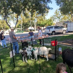 Central Park - Turlock