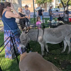 Central Park - Turlock