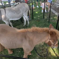 Central Park - Turlock