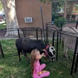 Central Park - Turlock