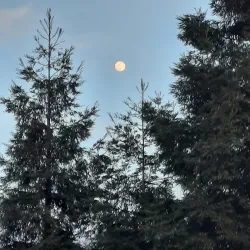 Denair Park - Turlock