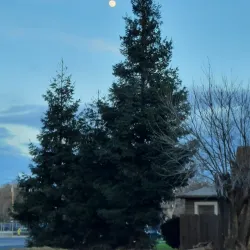 Denair Park - Turlock