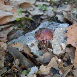 Denair Park - Turlock