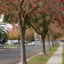 Merced Avenue Park - Turlock