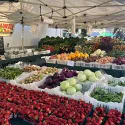Turlock Farmers Market - Turlock