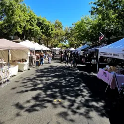 Turlock Farmers Market - Turlock