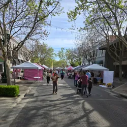 Turlock Farmers Market - Turlock